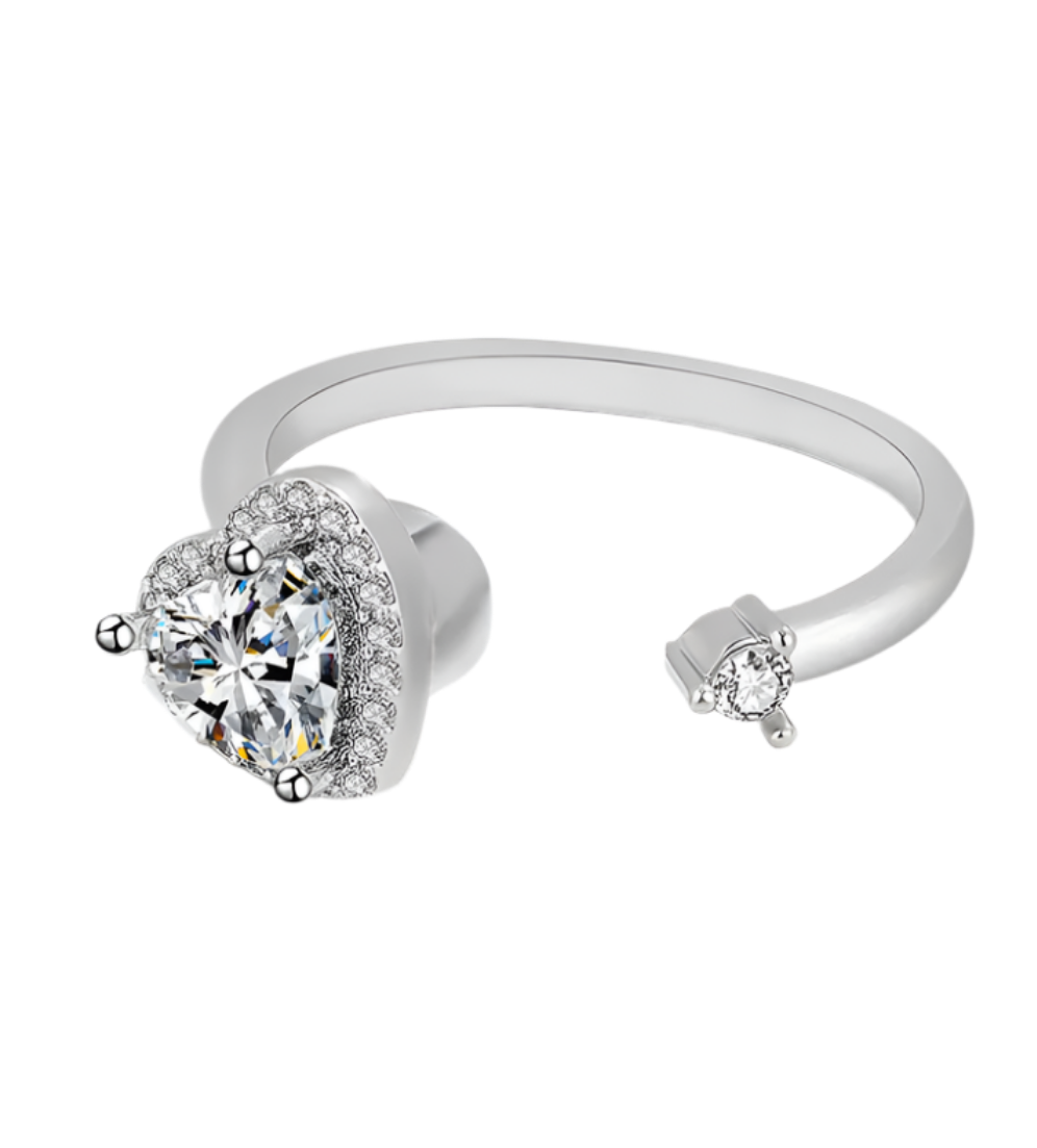 Circle of Love - Elegant ADHD Fidget Ring in 925 Sterling Silver
