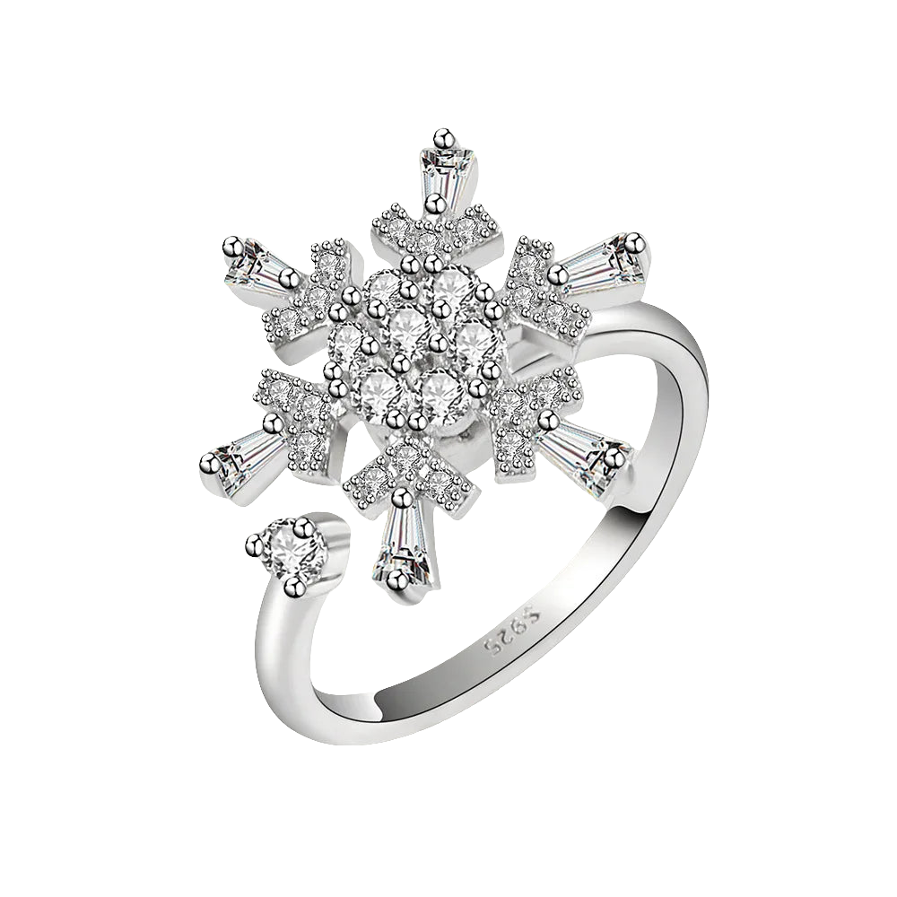 Eternal Snow - Silver ADHD Ring – Spin, Focus, Shine