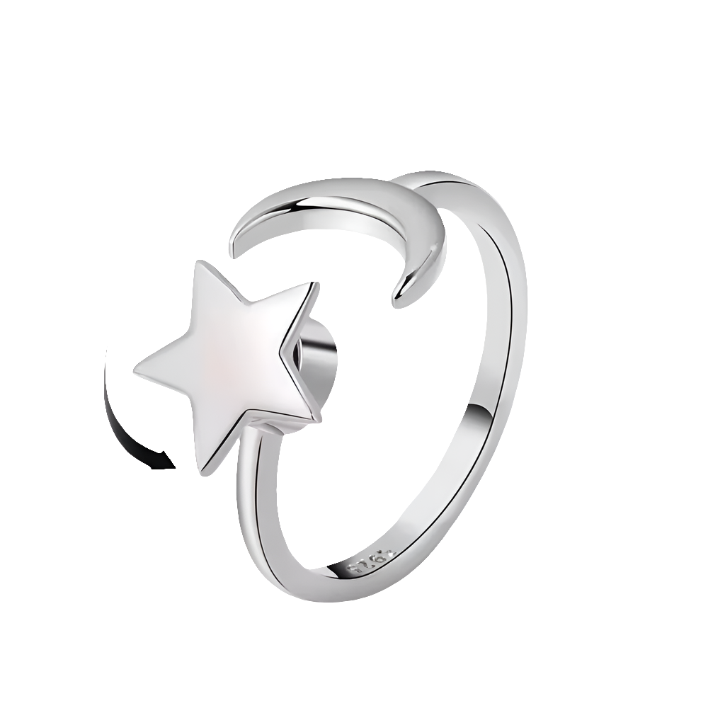Orion's Secret - Silver Spinner Ring – Refined Focus & Function