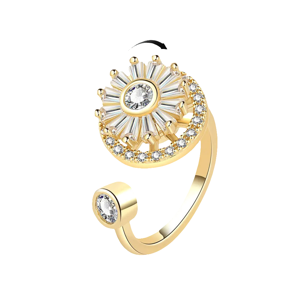 Wheel of Fortune - Anxiety-Relief Ring in Sterling Silver Gold Plated Finish