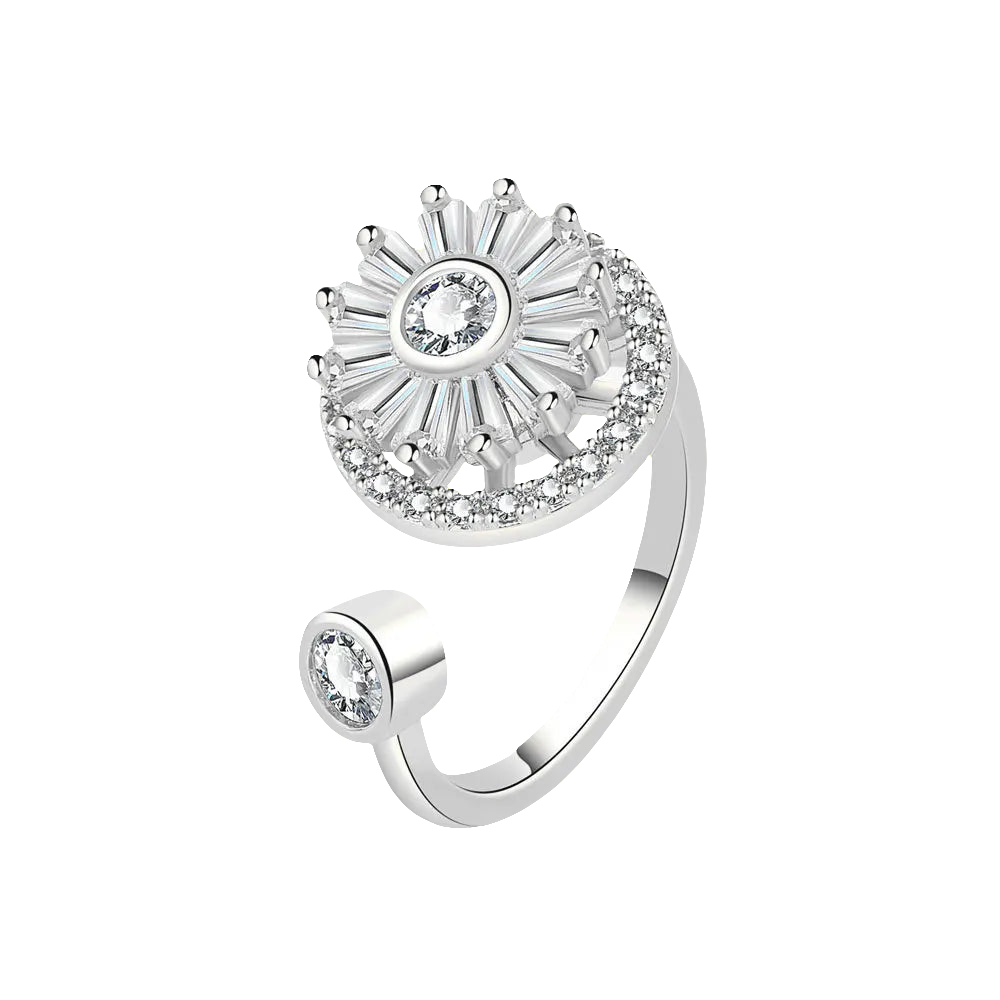 Wheel of Fortune - Modern Spinner Ring – 925 Silver for Calm