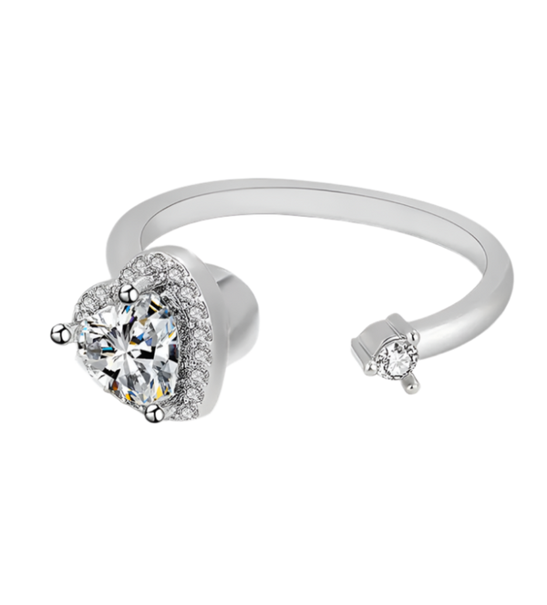 Circle of Love - Elegant ADHD Fidget Ring in 925 Sterling Silver