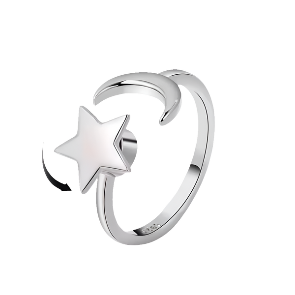 Orion's Secret - Silver Spinner Ring – Refined Focus & Function