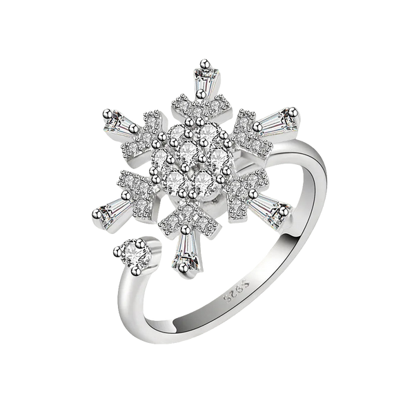 Eternal Snow - Silver Fidget Ring – Spin, Focus, Shine